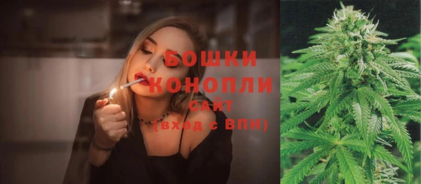 прущие грибы Балахна