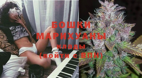 прущие грибы Балахна