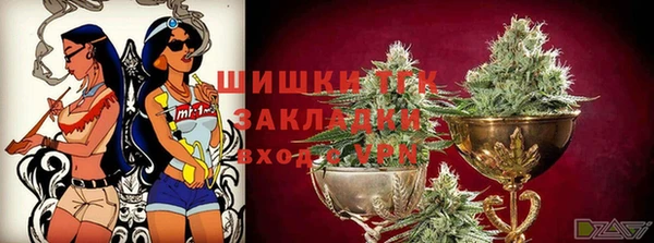 прущие грибы Балахна