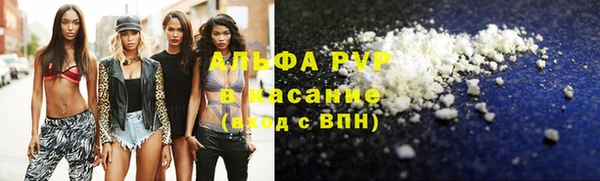 прущие грибы Балахна