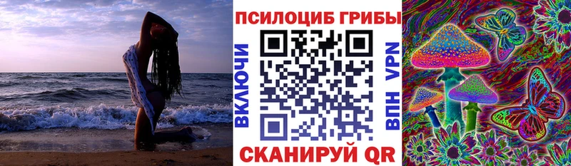 Купить  Краснокаменск  Псилоцибиновые грибы ЛСД 